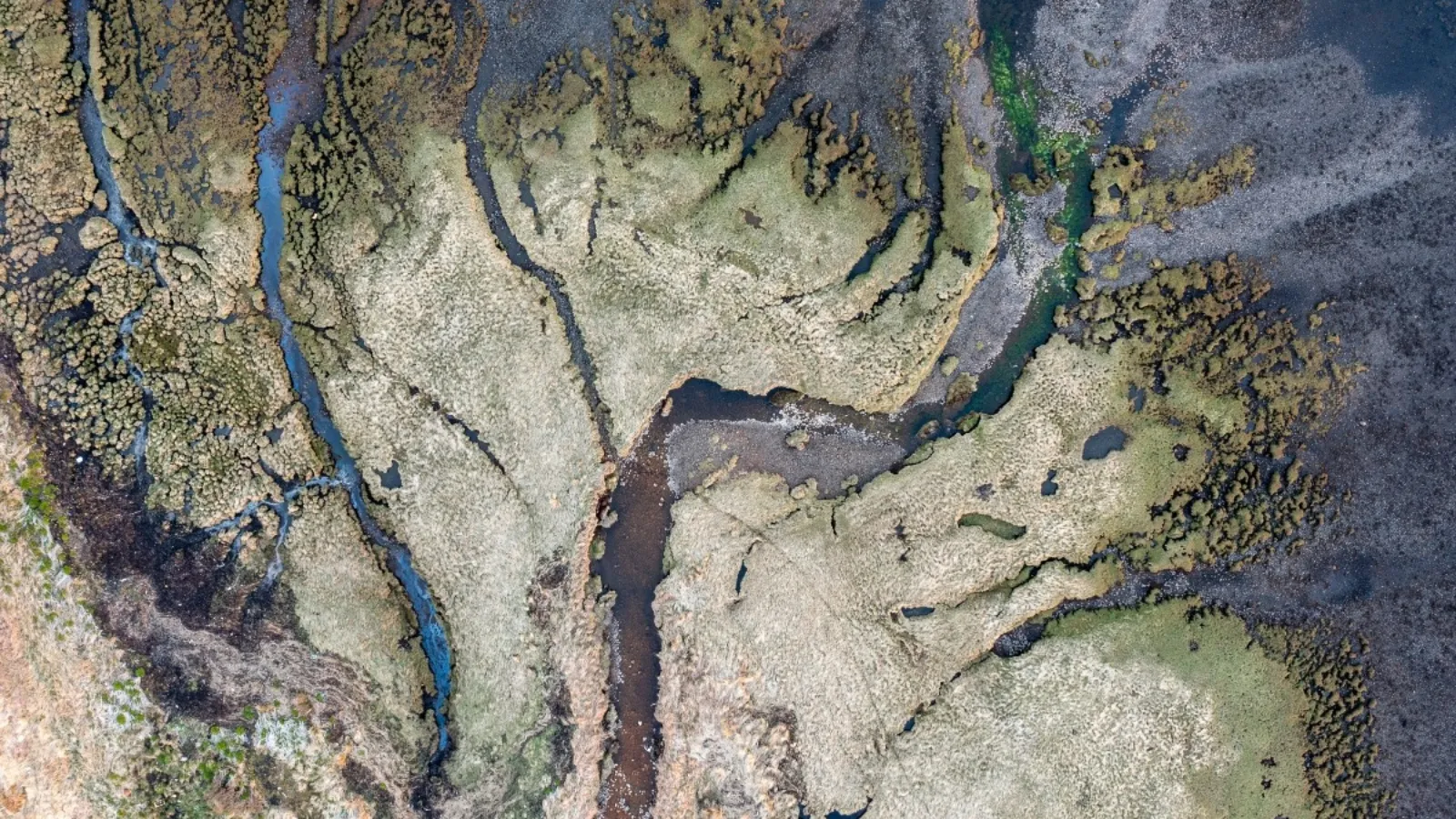 An aerial view of a river delta, where one channel branches into many separate streams.